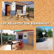 Top Cuevas del Campo