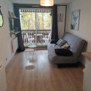 La Foux dAllos STUDIO 4 PERSONNES 23m2 résidence les Etoiles