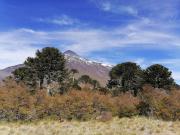 Top Curarrehue Top Curarrehue