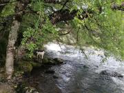 Top Curarrehue Top Curarrehue