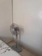 Top Santo Domingo Top Santo Domingo