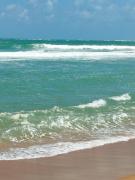 A casa é Sula Hostel Maceió para mulheres