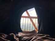 Conexión naturaleza