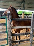 Top Agua de Dios Top Agua de Dios