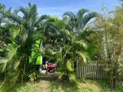 Top Ban Hua Phrong