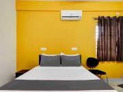 Super Collection O Olive