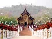 Top Chiang Mai