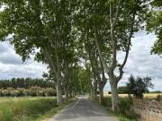 Top Raissac-dʼAude