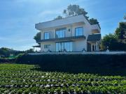 Sharti Mansion Villa