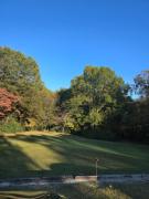 Top Albemarle