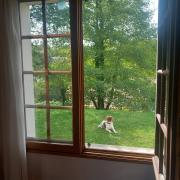 Top Saint-Pée-sur-Nivelle Top Saint-Pée-sur-Nivelle