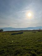 Top Omarë Top Omarë