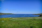 Top Easter Quarff