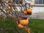 Top Saint-Lubin-des-Joncherets