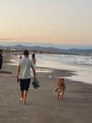 Room close Sea metro and Ciutat de les Arts i les Ciències