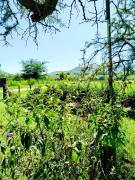 Ensueños Cabañas Familiares