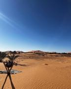 Top Merzouga