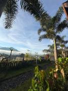 Lingga bali Mount view