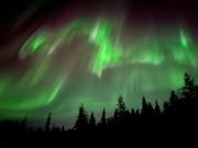 Modernly Renovated Northern Lapland Home, Free WiFi & Parking