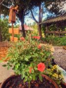 Top Ban Khao Chakan Top Ban Khao Chakan