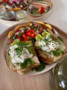 Top Wyszowate Top Wyszowate