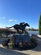 Top Nagambie