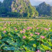 Trang An Viet Anh Homestay