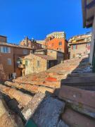 Top Perugia Top Perugia