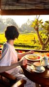 Top Ubud