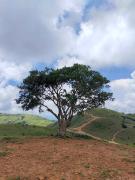 Top Chikmagalur