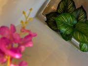 Top Bangalore Top Bangalore