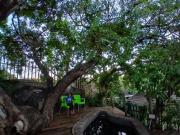 Manganese Luxury Stay