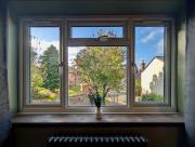 Top Royal Tunbridge Wells