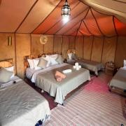 Oasis Desert Luxury Camp