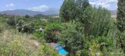 Top Coín