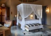 Motswari Private Game Reserve by NEWMARK