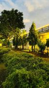 Top Sohna