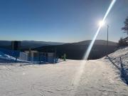 Top Sienna Top Sienna