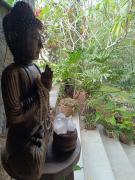 Refúgio Geribá Búzios