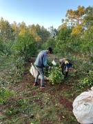 Top Aristóbulo del Valle