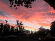 Couple retreat, pet friendly Bilpin