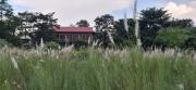 Top Sauraha