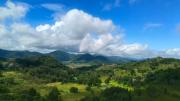 Top Araku