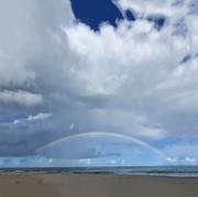 Cozy cabin with sea view