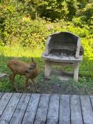 Top Xonrupt-Longemer