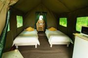 Safari Glamping Portugal Elephant