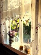 Top Nowoberezowo Top Nowoberezowo