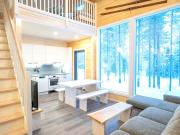 Holiday Cabin Levi Base Camp - North side