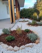 Timo e Lavanda Timo e Lavanda