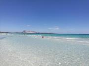 Top San Teodoro Top San Teodoro